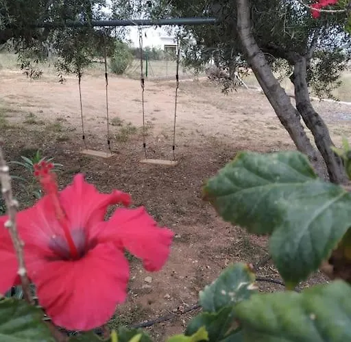 Sun And Sea 2 Lakonias 公寓 *